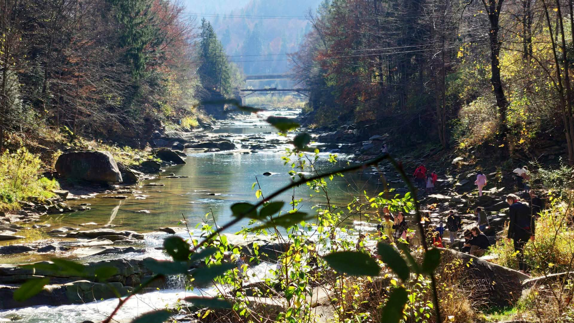Де відпочити в Україні під час війни: море, гори чи термальні курорти