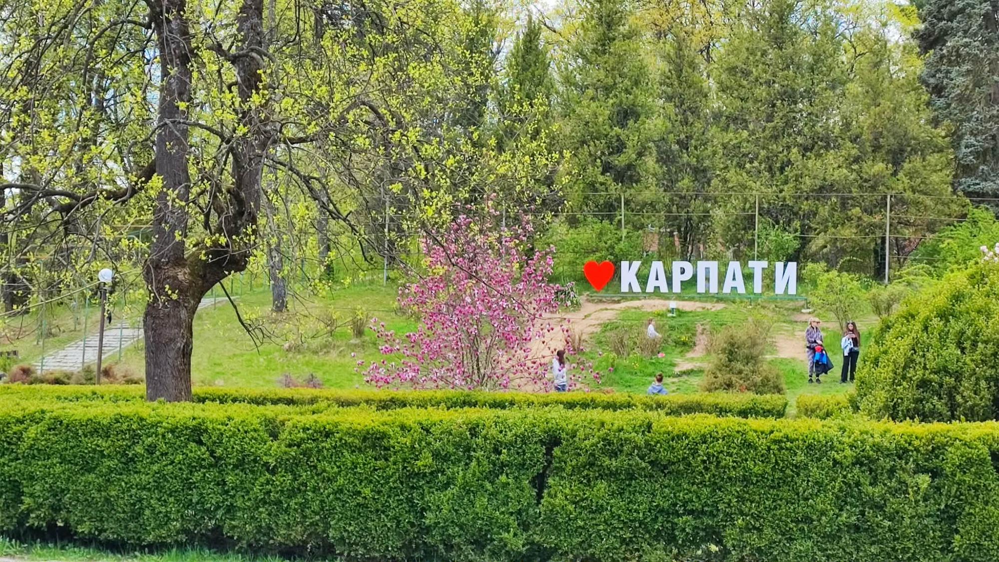 Де відпочити в Україні під час війни: море, гори чи термальні курорти