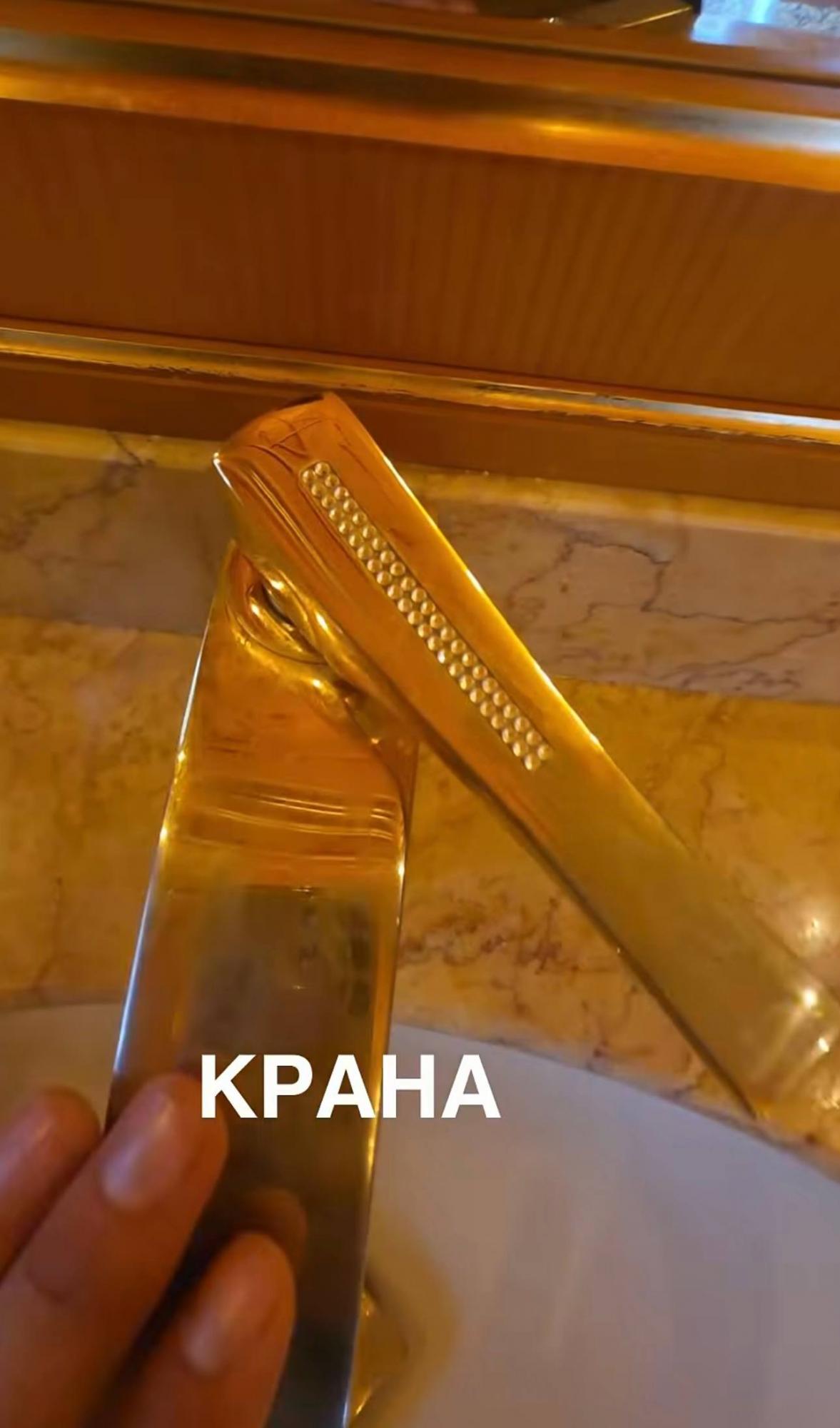 Золотий йоршик і кран із діамантами: український ведучий показав маєток Януковича